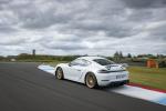 Porsche 718 Cayman GT4 2019 года (WW)